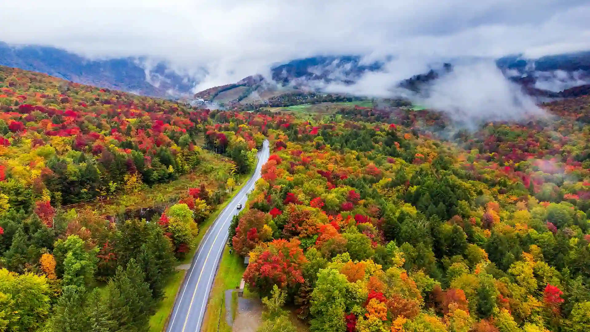 when leaves change color